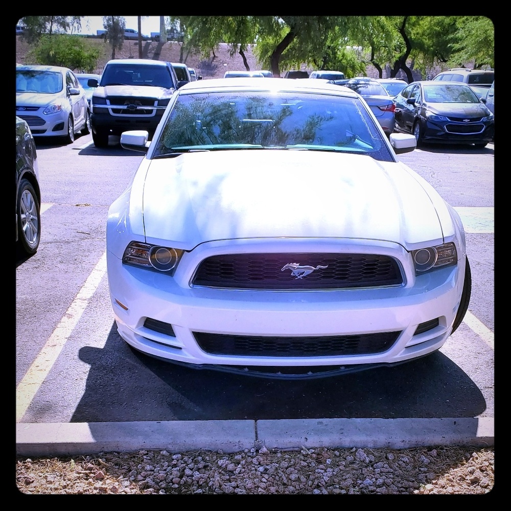 Meet your Posher, Allan